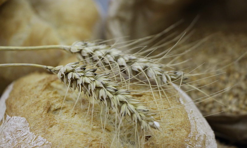 Il pane della Valle dei Laghi, uno dei progetti di rinascita della comunità