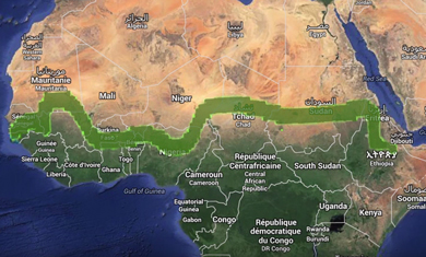 La Great Green Wall