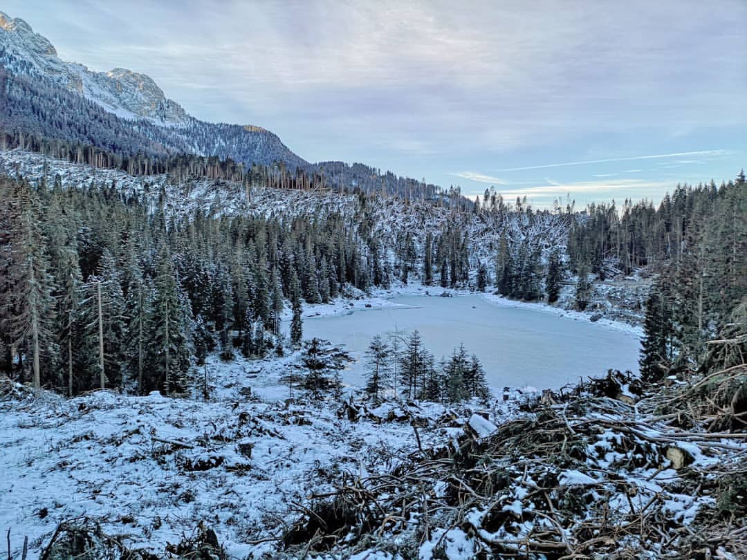 Il lago di Carezza e la devastazione del bosco