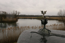 Il fiore di Jasenovac