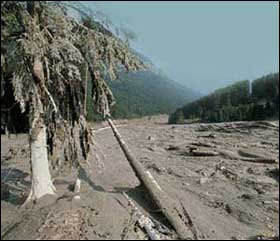 Stava, luglio 1985