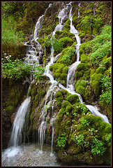 acqua in Trentino