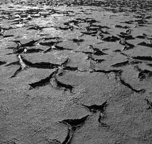 Cambiamenti climatici