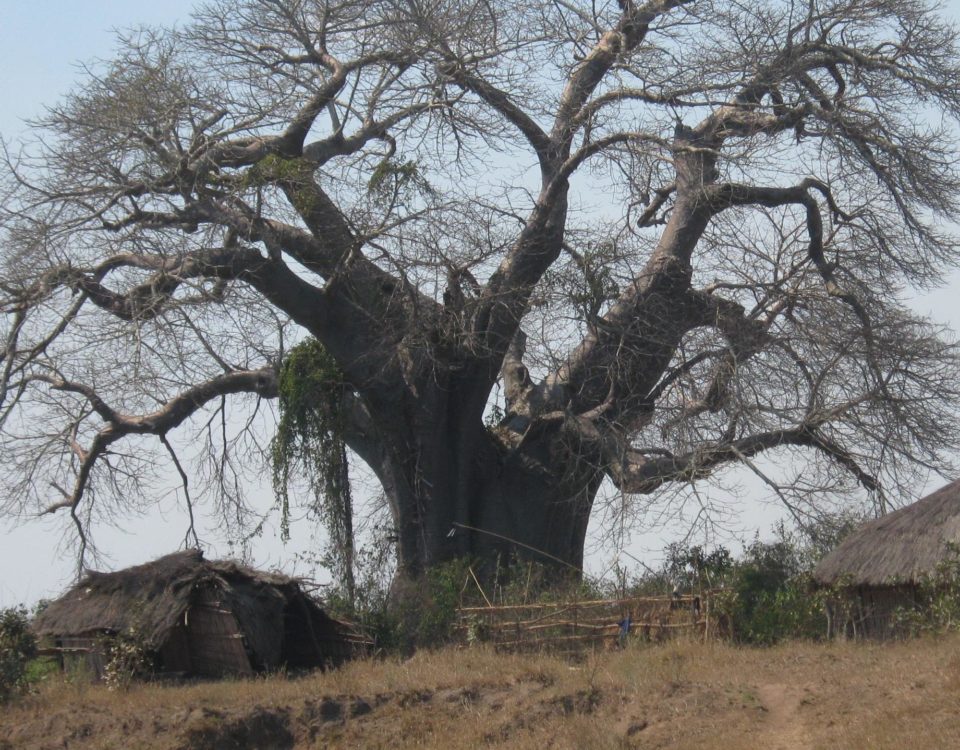 Mozambico