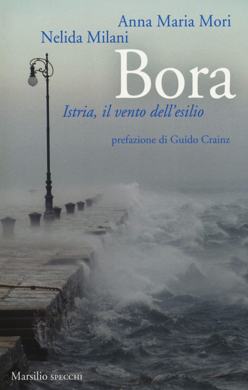 La prima di copertina del libro