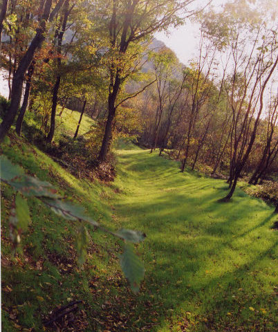 Bosco dei poeti