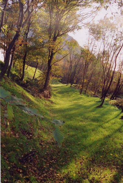 Bosco dei poeti