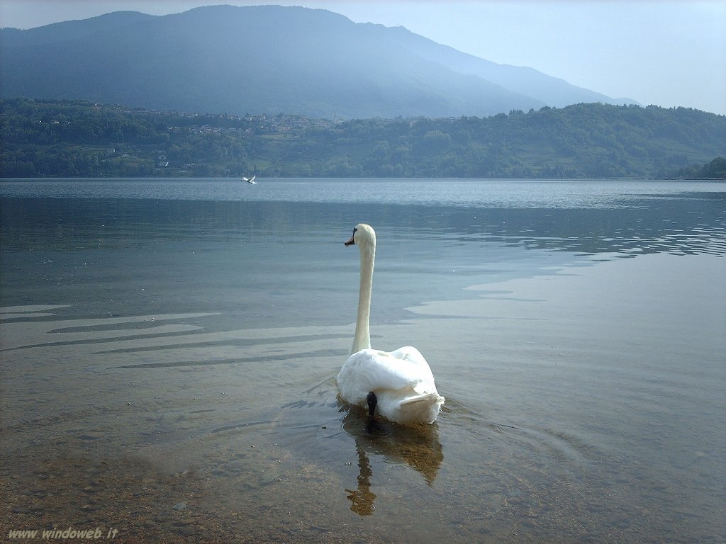 Lago di Caldonazzo