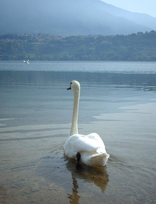 Lago di Caldonazzo