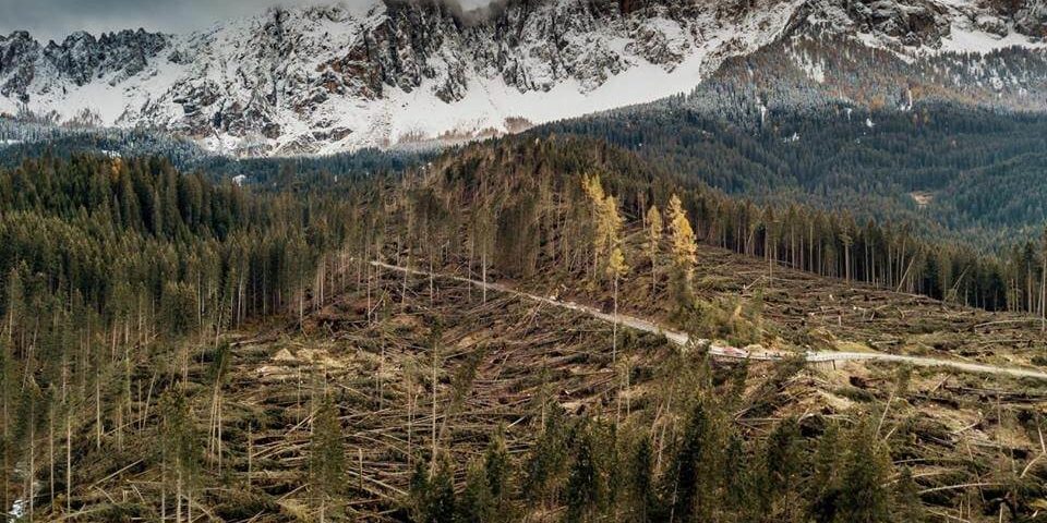 Cambiamento climatico - effetti