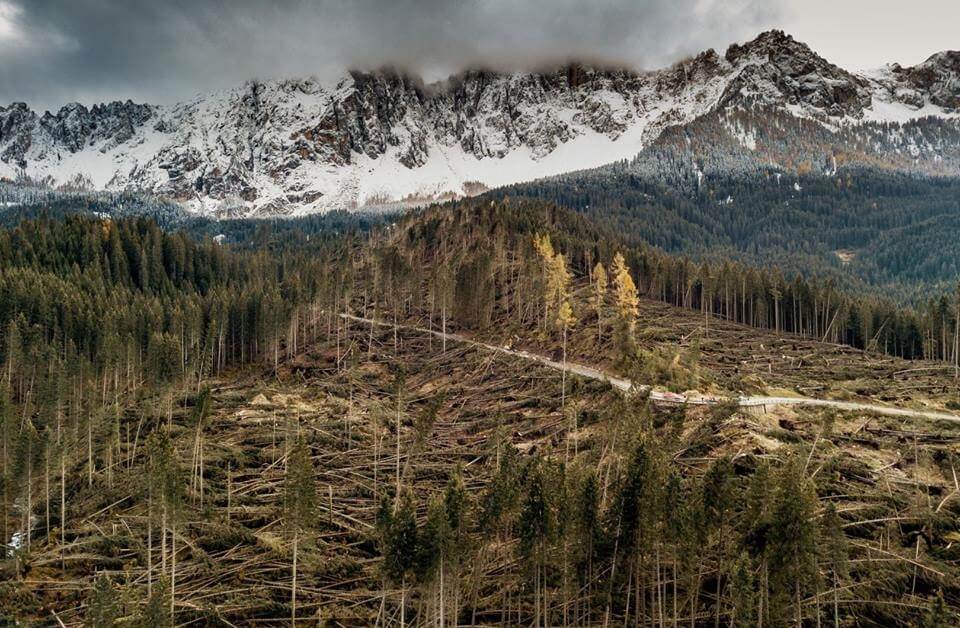 Cambiamento climatico - effetti