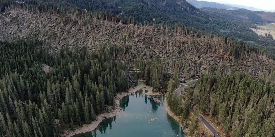 Il lago di Erdemolo dopo il passaggio di Vaia