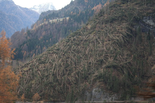 Vaia nelle valli dolomitiche