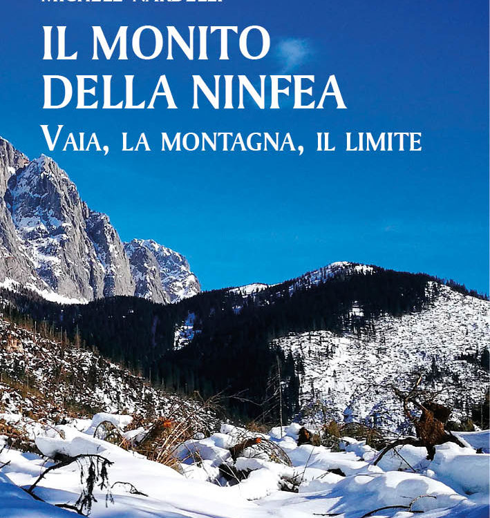 La prima di copertina del libro