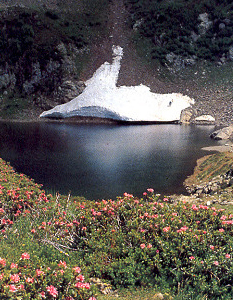 Lagorai, Trentino: il lago di Erdemolo