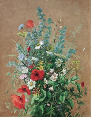 Fiori di campo