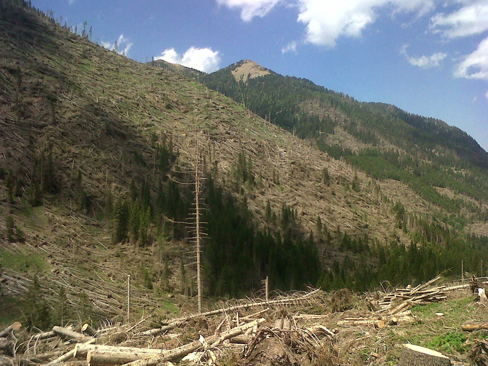 Verso il passo del Manghen