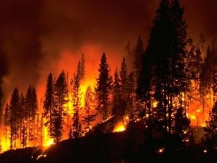 Incendi in Sicilia