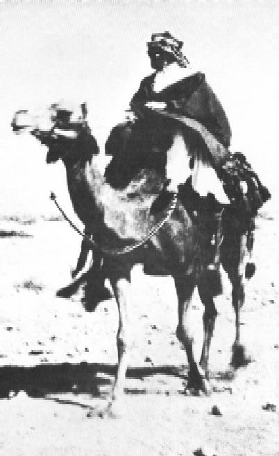 Lawrence d’Arabia