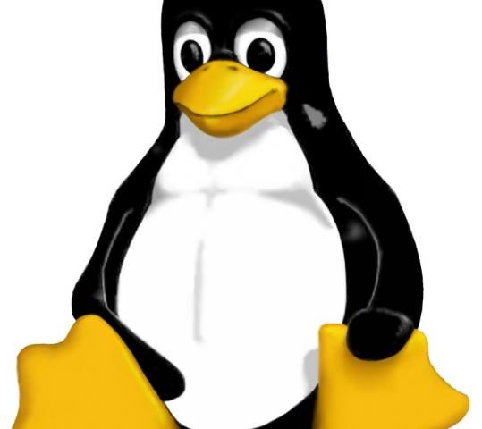 Il logo di Linux