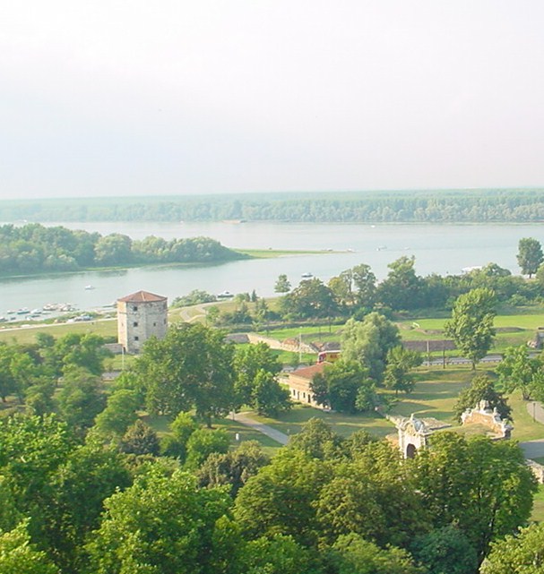 L’incontro della Sava con il Danubio
