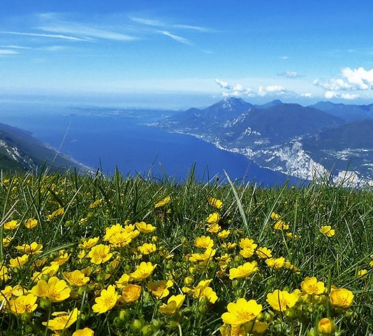 Monte Baldo in fiore