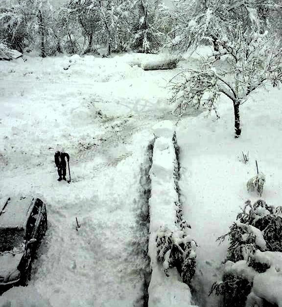 Abruzzo. Foto di Rosaria Gasparro, tratta dal sito www.comune-info.net