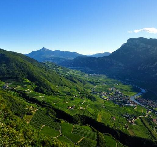 Un’immagine della Piana Rotaliana