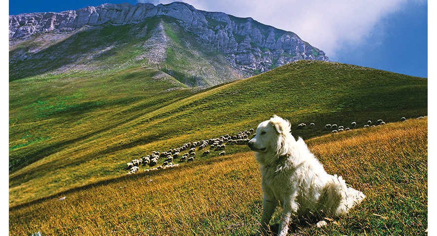 Monti Sibillini, foto di Sandro Polzinetti