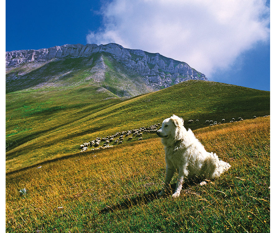 Monti Sibillini, foto di Sandro Polzinetti