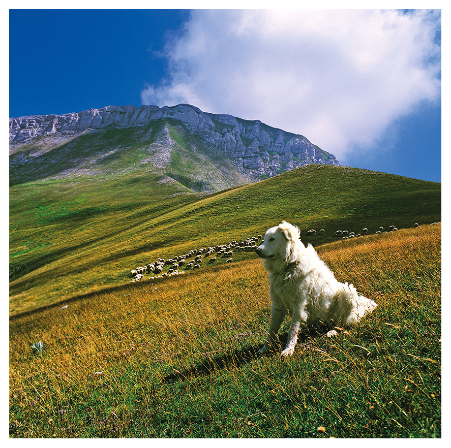 Monti Sibillini, foto di Sandro Polzinetti