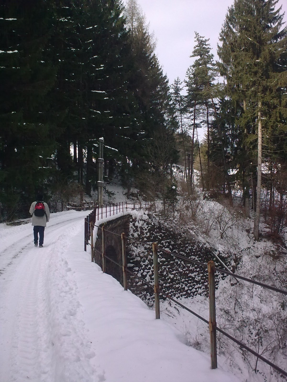 Sulle tracce della vecchia ferrovia della Val di Fiemme