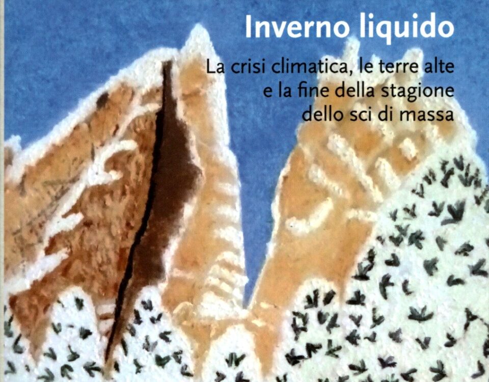 La copertina del libro Inverno liquido