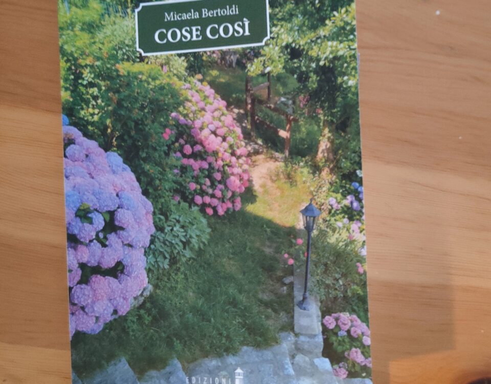 La copertina del libro