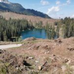 Il lago di Carezza dopo Vaia