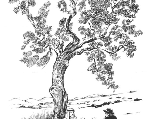 Crepax, Dialogo