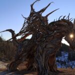 Il Drago Vaia