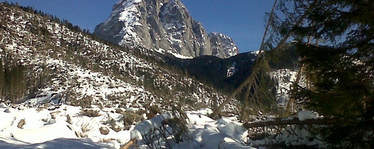 Il Monte Peralba, visto dalla Val Visdende. Un monte simbolico delle geografie ecosistemiche