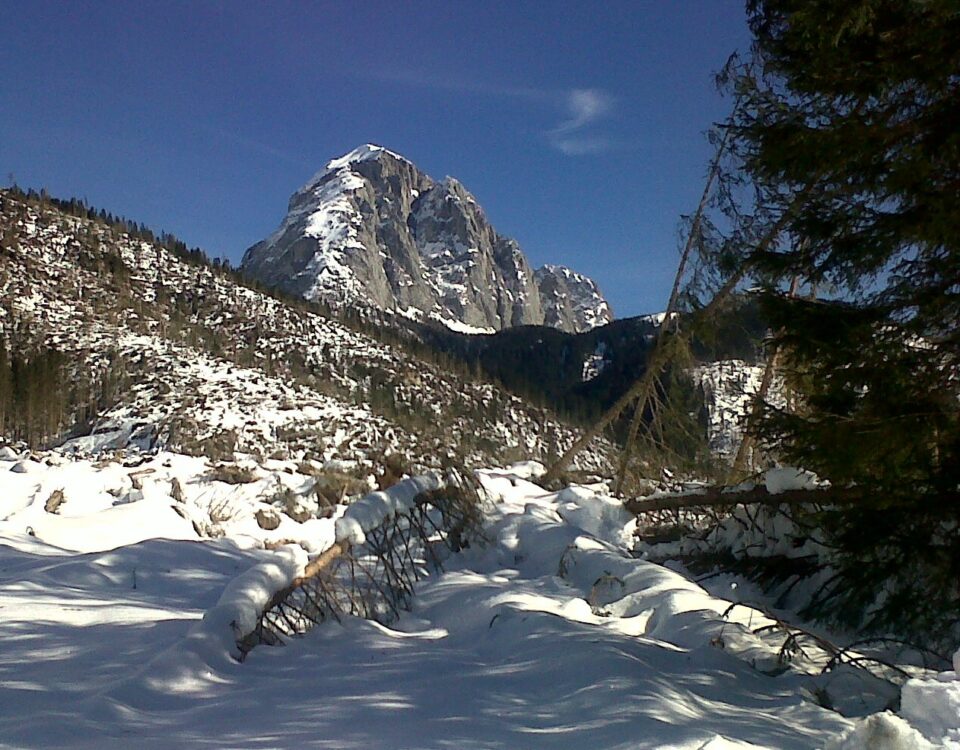 Il Monte Peralba, visto dalla Val Visdende. Un monte simbolico delle geografie ecosistemiche