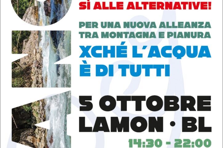 Il manifesto dell'iniziativa