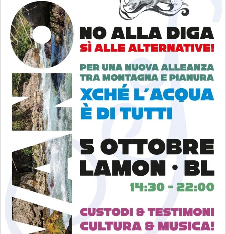 Il manifesto dell'iniziativa