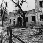 Vukovar, immediato dopoguerra