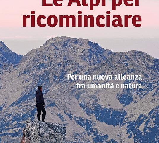 La prima di copertina del libro