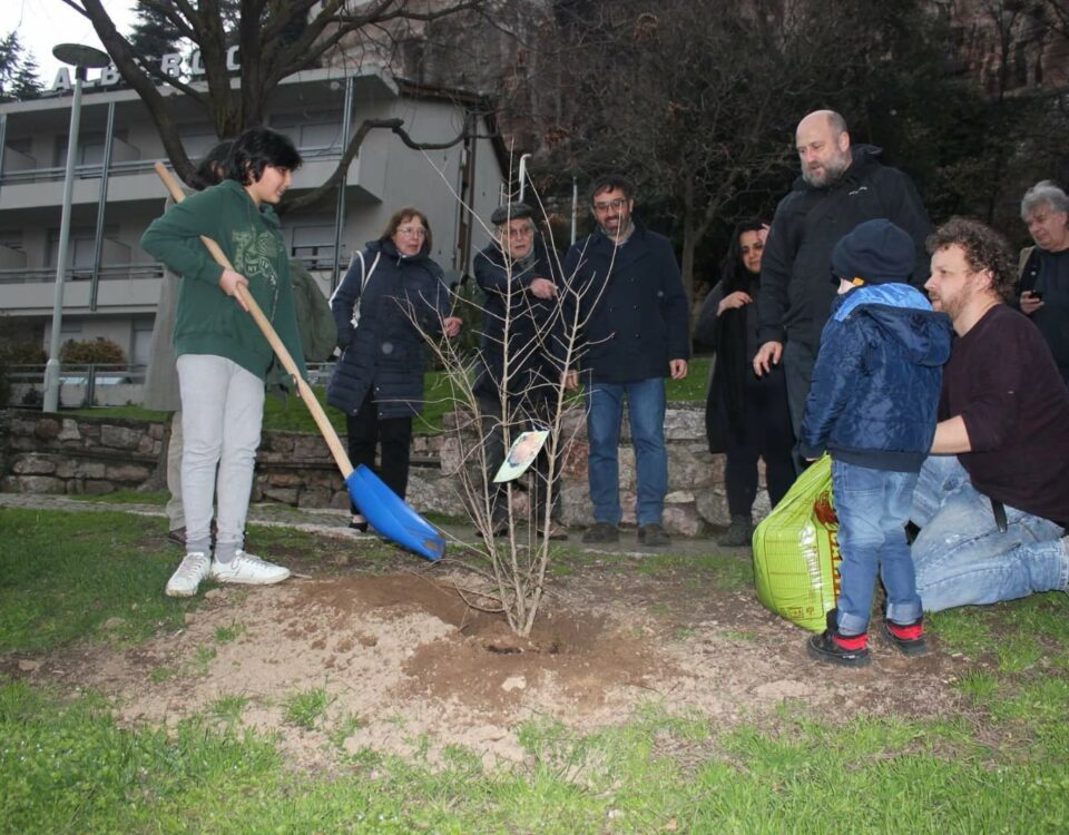 Un'immagine del Parco delle Predare. Che i signori degli affari volevano trasformare in un luogo privato. Qui la posa di un albero di melograno nel giorno del Nowruz, la festa di primavera nel vicino oriente.