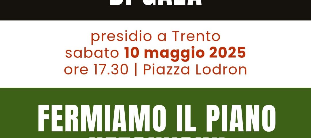 Il manifesto dell'iniziativa