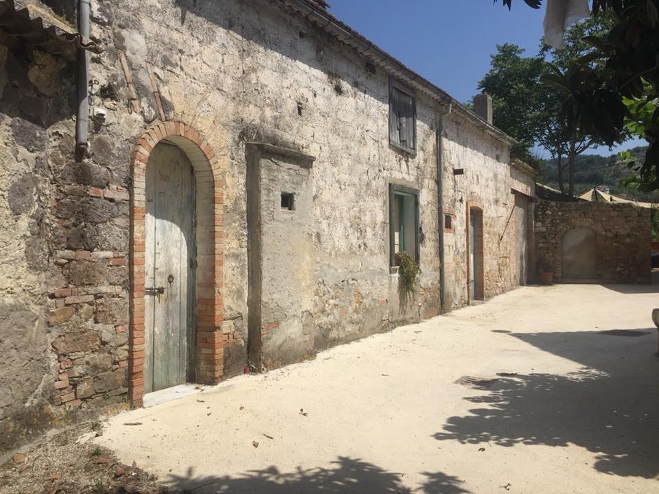 Abbandono