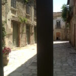 Viaggio nelle terre dell'osso (Apice)