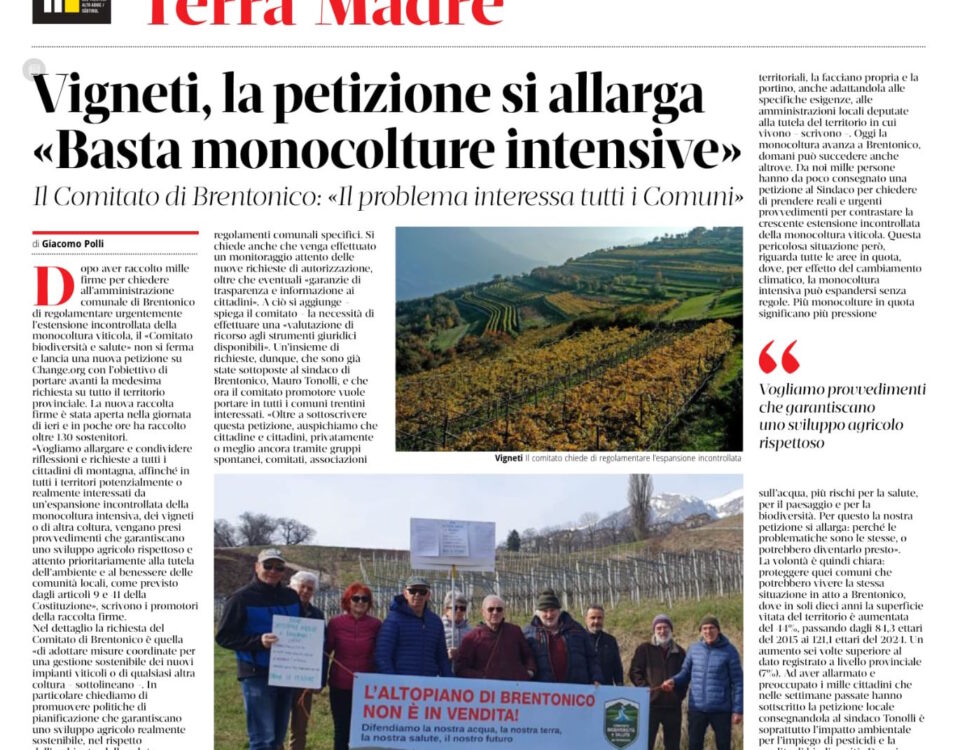 Una pagina del quotidiano il T sulla questione